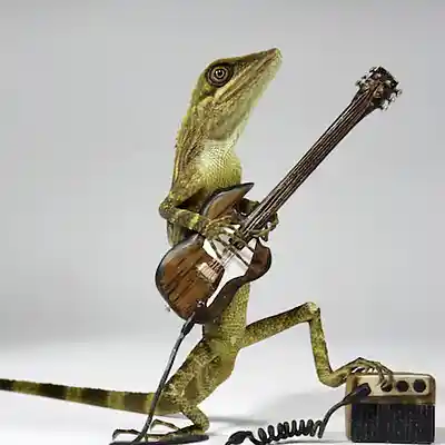 Picture for song 'CHAMELEON' by artist 'VINNIE V. MUSIC'