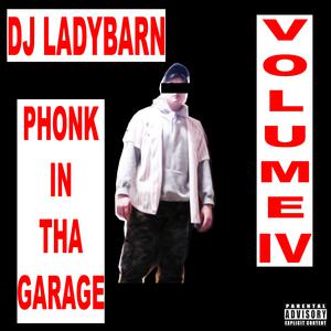 Picture for song '9 On My Waistline' by artist 'DJ Ladybarn'