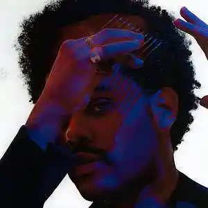 Picture for song 'Feel The Same' by artist 'THE GOD ADOT'