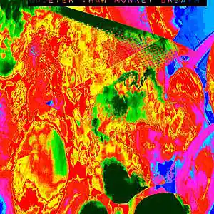 Picture for song 'Weirdnessess(Featuring Cyber Aloka)' by artist 'Decaying Orbit'