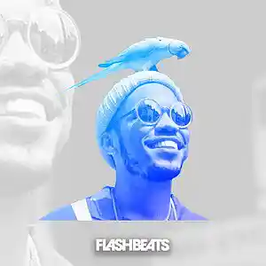 Picture for song 'VVS' by artist 'FlashBeats.net'