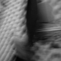 Picture for song 'Step Up (ALL BEATS ARE FREE!!!)' by artist 'GetNDeep'