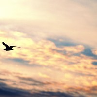 Picture for song 'Keep it 100 - 31715 832 PM' by artist 'King James Entertainment'