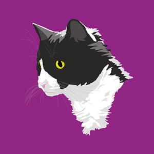 Picture for song '"RAINCAT"' by artist 'Mendoza's laboratory'