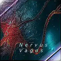 Picture for song 'Nervus Vagus' by artist 'Mutter Brennstein'