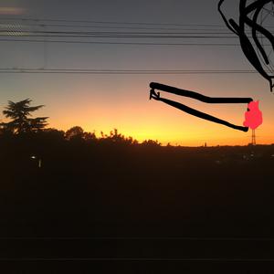 Picture for song 'Last Night' by artist 'Nick Name'