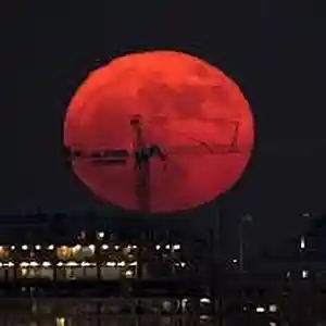 Picture for song 'Not Bad Moon 2002' by artist 'Pedestrial'