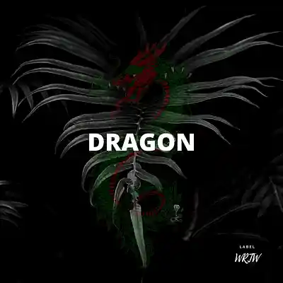 Picture for song 'Dragon (Buy 1 Get 10 Free)' by artist 'Kontraa'