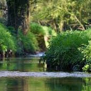 Picture for song 'Quiet Water Richard D. Russom Jr.' by artist 'RICH RUSSOM'