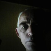 Picture for song 'LINDA LOU' by artist 'SHANE TREACY AND THE SUNFLOWER MEN'