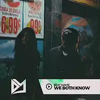 Picture for song 'We Both Know' by artist 'SIGHOST'