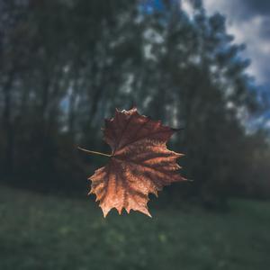 Picture for song 'This Too Will Pass (Dominic Fike x Joji Type Beat)' by artist 'SoupBeats'