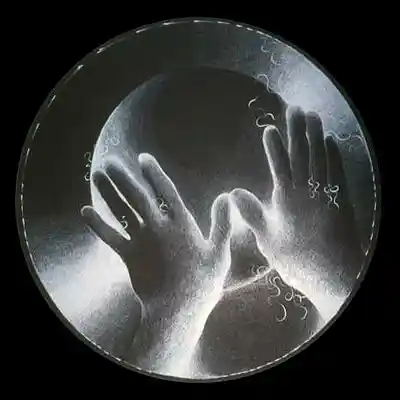 Picture for song 'forgive' by artist 'TheByronProject'