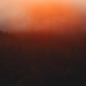 Picture for song '"Baked"- Rap instrumental(Prod.whoDeany)#beats' by artist 'whoDeanyBeatz'