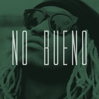 Picture for song 'No Bueno ' by artist 'Woodtunez Beats'