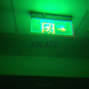 Picture for song 'Escape' by artist 'Wxnted'