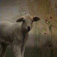 Picture for song 'Death Passes Over' by artist 'Yahunatan'