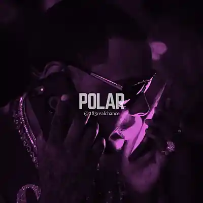 Picture for song 'Polar' by artist '183realchance'