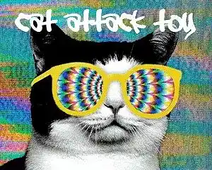 Picture for song 'superchillbeatraptest' by artist 'Cat attack toy'