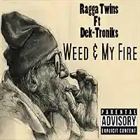Picture for song 'Weed and my Fire (ft Ragga Twins)' by artist 'Dek-Troniks'