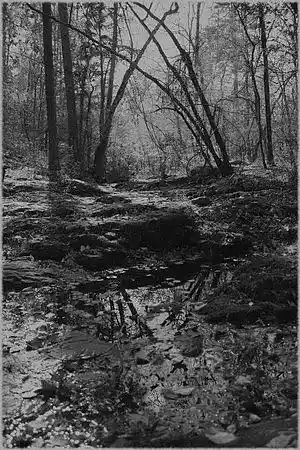 Picture for song 'And From the Lake' by artist 'J A Trondson'