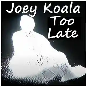 Picture for song 'Too Late' by artist 'Joey Koala'