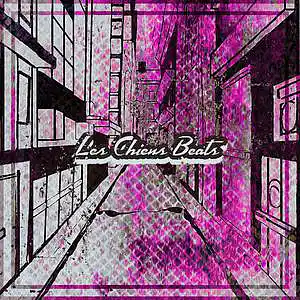 Picture for song 'CITY BOOM BAP 08 Hardcore Hip Hop Type Beat' by artist 'Les Chiens Beats'