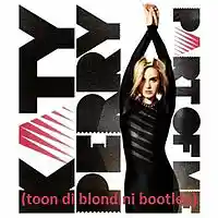 Picture for song 'Katy Perry - Part of Me (toon di blondini bootleg)' by artist 'Toon Di Blondini'