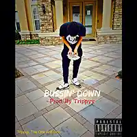 Picture for song 'Bussin Down' by artist 'CosaNostraTrippyy'