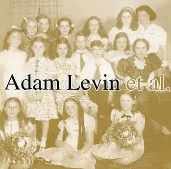 Picture for song 'Once More (Without Feeling)' by artist 'Adam Levin'