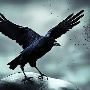 Picture for song 'The Last Crow' by artist 'Louisiana Bill And The Bucket Of Beans'