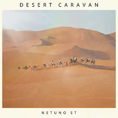 Picture for song 'Desert Caravan' by artist 'Netuno Soundtracks'