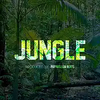 Picture for song 'Jungle **SOLD**' by artist 'Parabellum Beats'