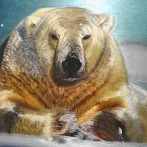 Picture for song 'SOMETIMES' by artist 'Roger A Fife'