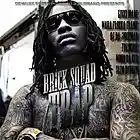 Picture for song '*UnFinished* Brick Squad Type' by artist 'Vizzo Vendetta'