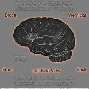 Picture for song '78 - musical Broca Wernicke area' by artist 'DEAD CHICKEN'