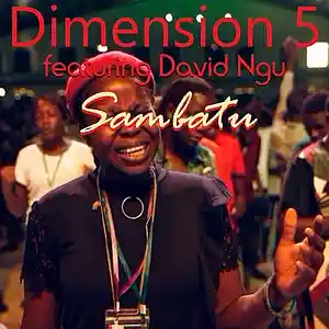 Picture for song 'Sambatu ft David Ngu' by artist 'Dimension 5'
