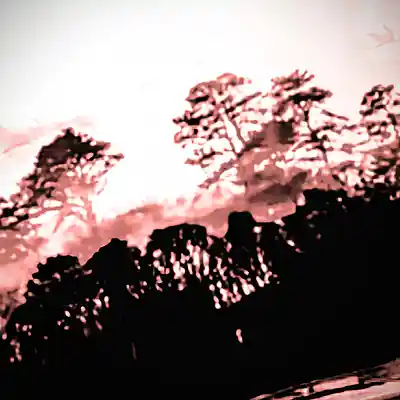 Picture for song 'Raizer Gardens' by artist 'Err0r'