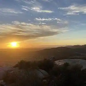 Picture for song 'Dipshit' by artist 'Gagmesharkoff'