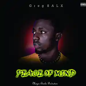 Picture for song 'Peace of Mind' by artist 'Greg SALX'
