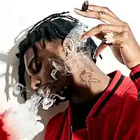 Picture for song 'Blaze It (BUY 1 GET 1 FREE)' by artist 'Jammy Beatz'