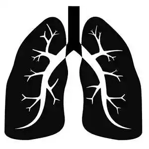 Picture for song 'Black Lung' by artist 'Pete Moss and the Weed Wackers'