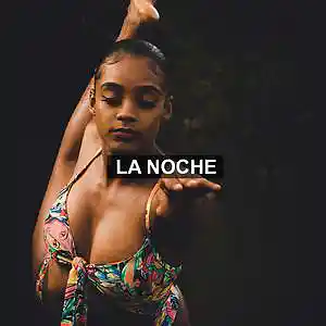 Picture for song 'La Noche (Ozuna X Bad bunny type beat)' by artist 'Prod by DJ Smalls'