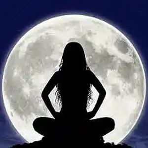 Picture for song 'Moonlight (Produced By Galo HOFFA)' by artist 'SAMO HOFFA'