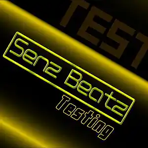 Picture for song 'Senz Beatz - Testing' by artist 'Senz Beatz'