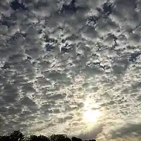 Picture for song 'angel's shining star' by artist 'brightwater'