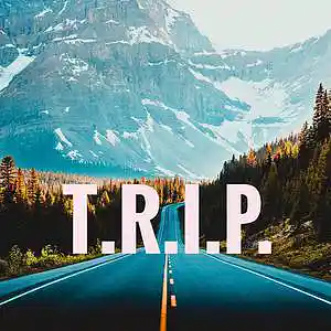 Picture for song 'TRIP' by artist 'Florian Gleisberg'