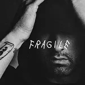 Picture for song 'Fragile' by artist 'Beats with Hooks.'