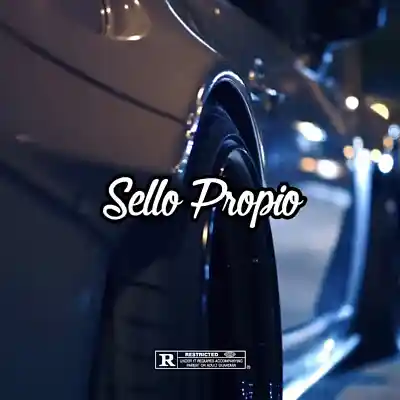 Picture for song 'Sello Propio - Trap type Beat' by artist 'IceDavid Beats'