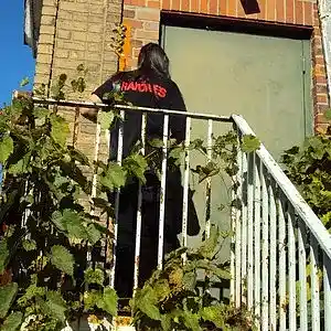 Picture for song 'The KKK Took My Baby Away' by artist 'Marones'